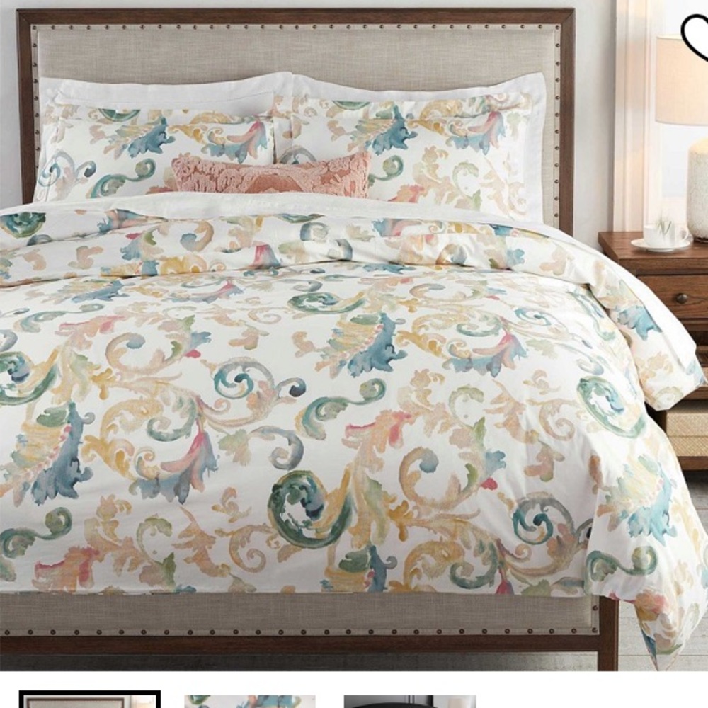 Pottery Barn Claudia Organic Cotton Duvet Cover King Set - with Shams